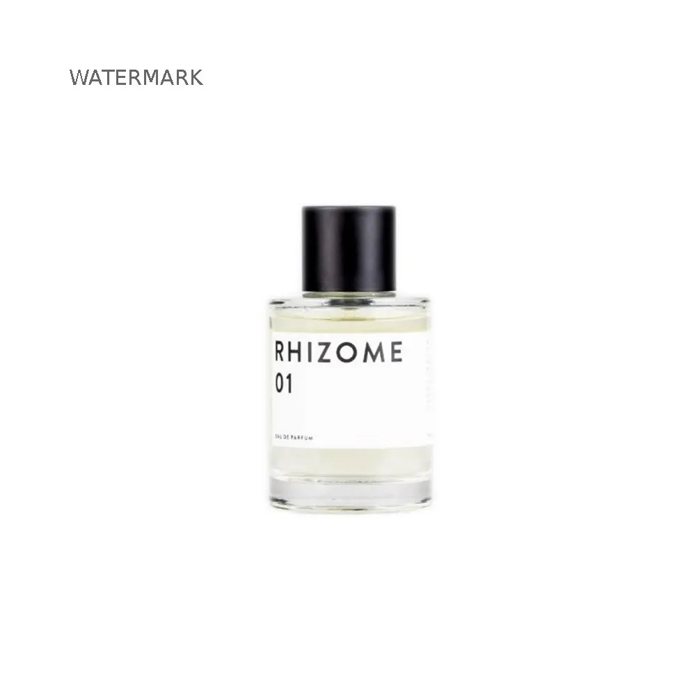 Rhizome 1 Rhizome