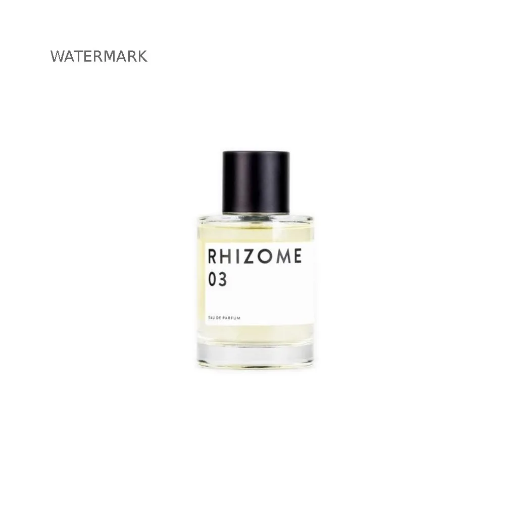 Rhizome 3 Rhizome