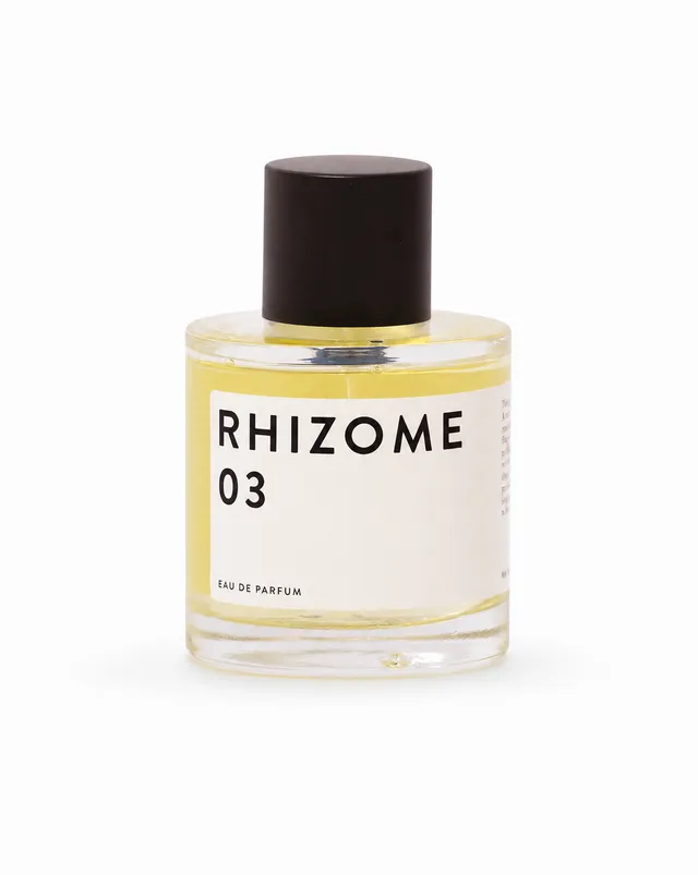 Rhizome 3 Rhizome